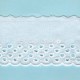 LIGHT CREAM / WHITE  EYELET EMBRODERY  LACE 017